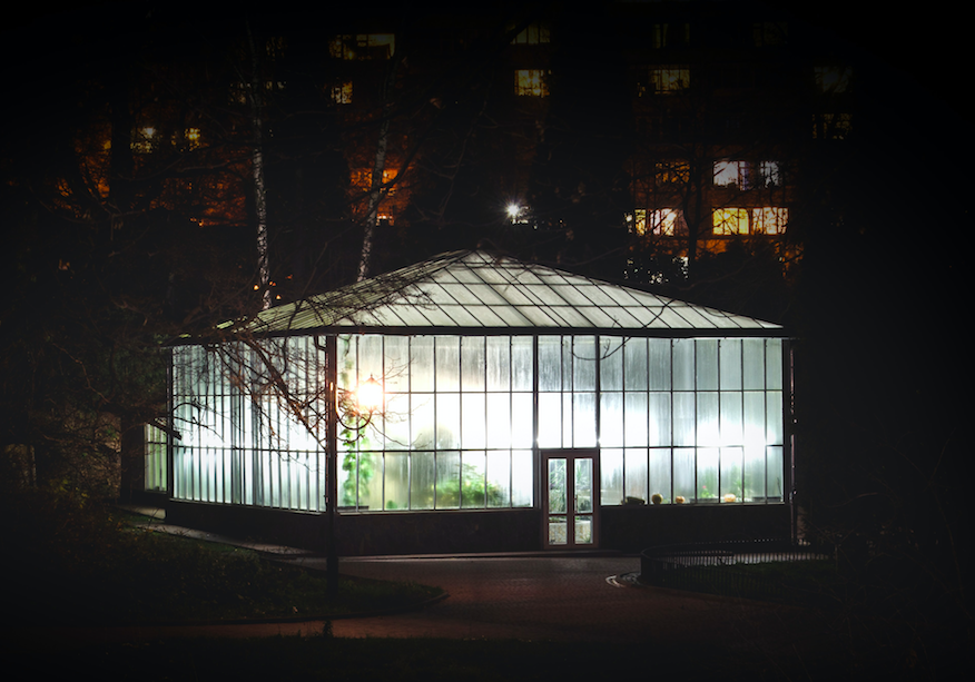 greenhouse farming plant