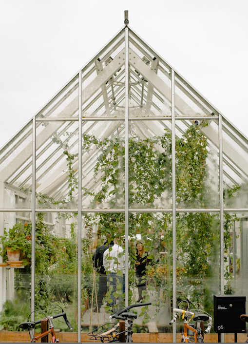 greenhouse farming plant