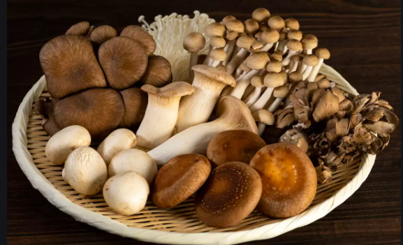 Harvested Mushrooms 