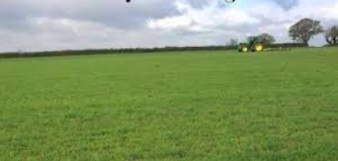 ley farming field
