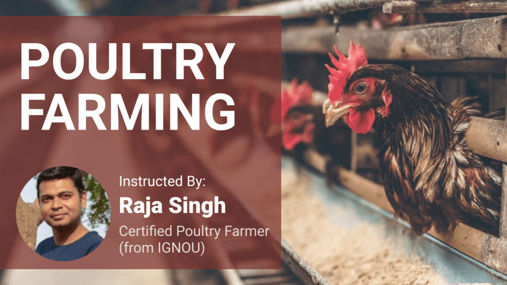 Online poultry farming course