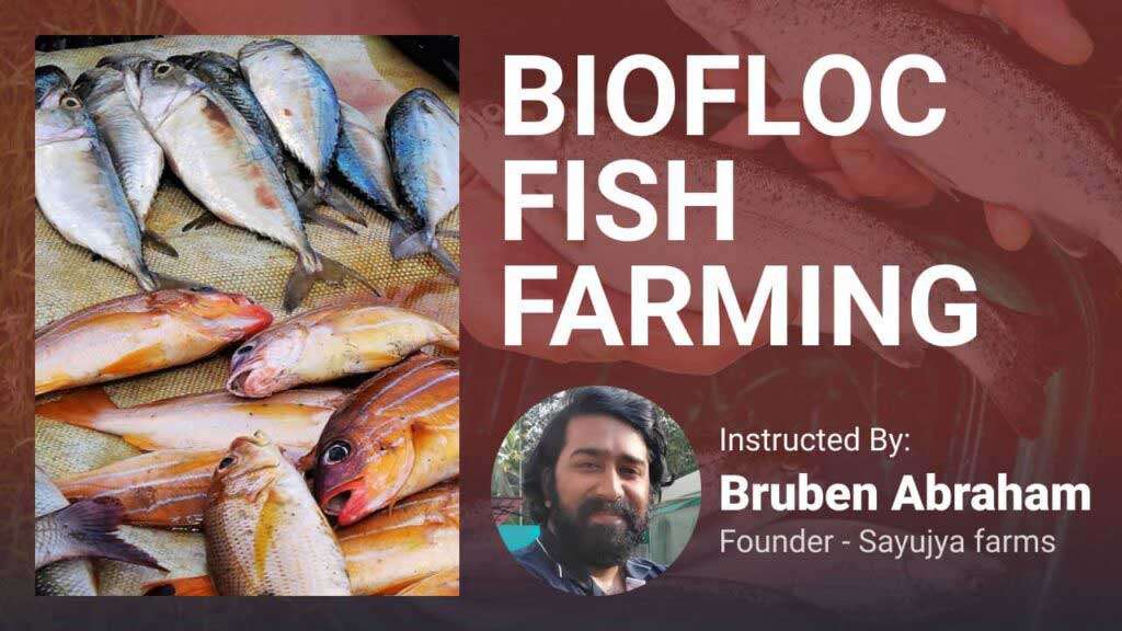 Biofloc-Fish-Farming-course