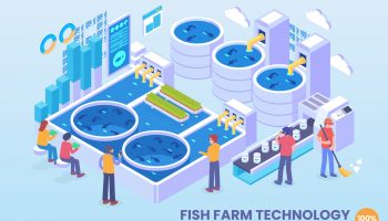 Biofloc Fish farming