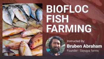 Biofloc-Fish-Farming-course