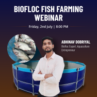 Benefits of Biofloc fish farming