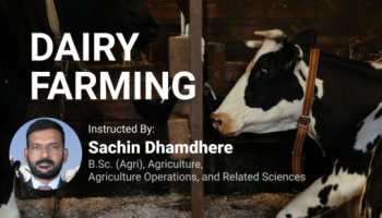 Basics of Dairy farming