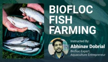 Biofloc fish farming course