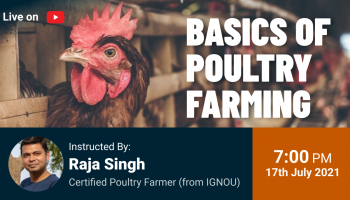 Basics of Poultry Farming