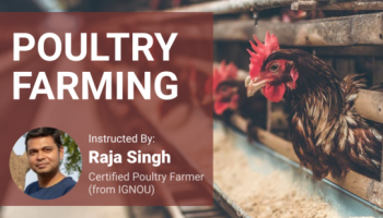 Online poultry farming course